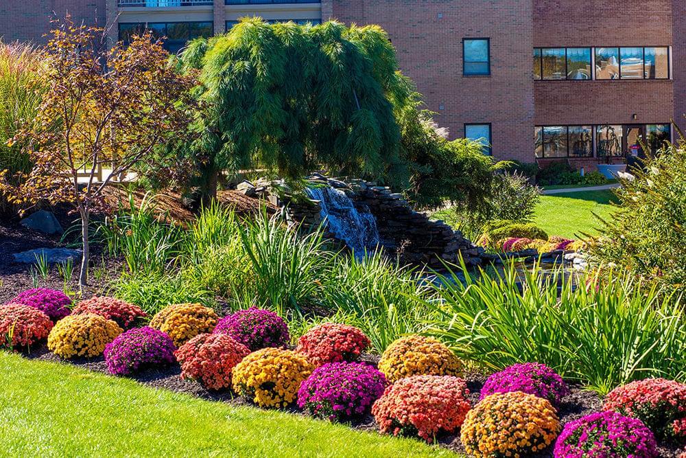 The Community at Rockhill Senior Living Community Assisted Living